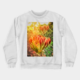 Spring Azalea Buds Crewneck Sweatshirt